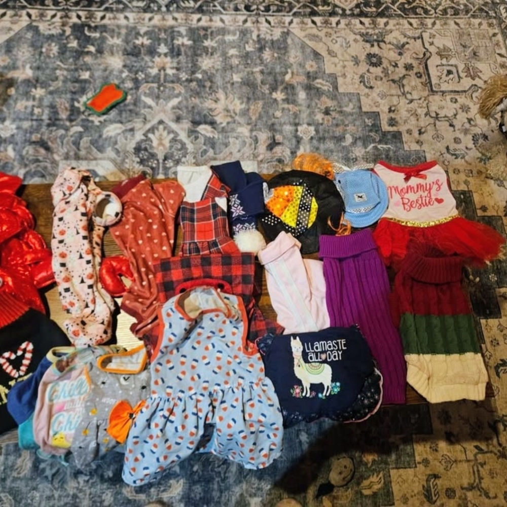 Colorful Dog Clothing, Toys, Hat, And Costume.